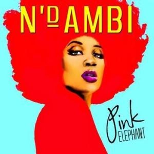 N'dambi - Pink Elephant i gruppen CD / Jazz hos Bengans Skivbutik AB (560886)