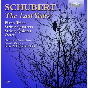 Schubert - The Last Years i gruppen CD / Klassiskt hos Bengans Skivbutik AB (561396)