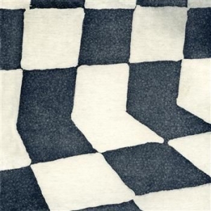 Ducktails - The Flower Lane i gruppen CD / Pop hos Bengans Skivbutik AB (562397)