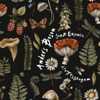 Anders Boson Jazz  Ensemble - Slottsskogen i gruppen CD / Jazz hos Bengans Skivbutik AB (5626727)