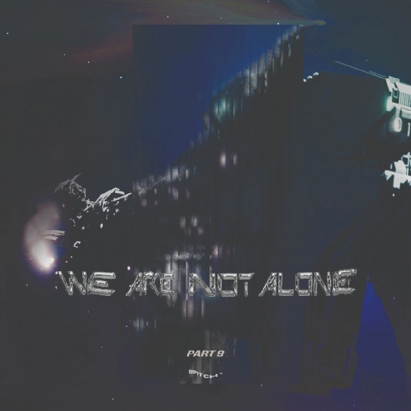 Various Artists - We Are Not Alone - Part 9 i gruppen VINYL / Toppsäljare hos Bengans Skivbutik AB (5626808)