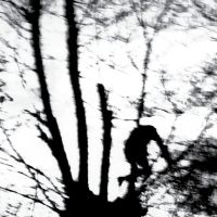 Cindytalk - Camouflage Heart (Ltd Transparent C i gruppen VINYL / Pop-Rock hos Bengans Skivbutik AB (5627181)