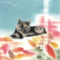 Eddie Marcon - Carpet Of Fallen Leaves i gruppen CD / Pop-Rock hos Bengans Skivbutik AB (5627210)