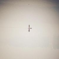 Naqvi Qasim - Endling (Translucent Vinyl) i gruppen VINYL / Pop-Rock hos Bengans Skivbutik AB (5627211)