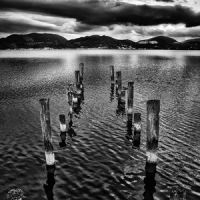 Race Hugo & Maroccolo Gianni - The Vigil i gruppen VINYL / Pop-Rock hos Bengans Skivbutik AB (5627231)