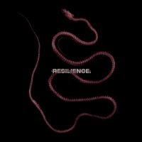 Throatcut - Resilience (Red/Black Marble) i gruppen VI TIPSAR / Fredagsreleaser / 2025-07-18 hos Bengans Skivbutik AB (5627378)
