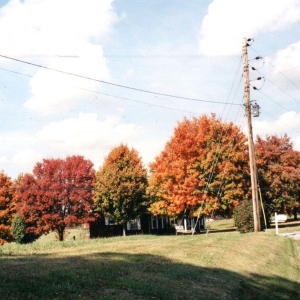 Vegas Water Taxi - Things Are Gonna Be Alright Extende i gruppen VINYL / Pop-Rock,Svensk Musik hos Bengans Skivbutik AB (5627381)