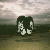 Death From Above 1979 - The Physical World (Eleventh Annive i gruppen VINYL / Pop-Rock hos Bengans Skivbutik AB (5627560)