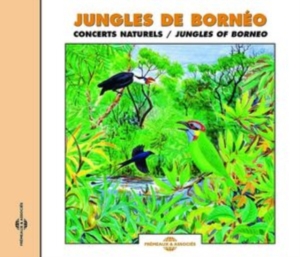 Birdsong - Birds Of The Jungles Of Borneo i gruppen CD / Övrigt hos Bengans Skivbutik AB (5627637)