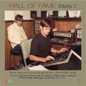 Blandade Artister - Hall Of Fame Volume 2: More Rare & i gruppen CD / Pop hos Bengans Skivbutik AB (562778)