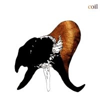 Coil - Black Antlers (Ltd Clear Vinyl) i gruppen VINYL / Dance-Techno hos Bengans Skivbutik AB (5627832)