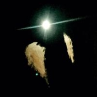 Midwife - Forever i gruppen Pop-Rock hos Bengans Skivbutik AB (5628265)