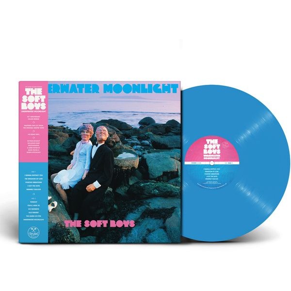 Soft Boys The - Underwater Moonlight (45Th Annivers i gruppen VINYL / Pop-Rock hos Bengans Skivbutik AB (5628779)
