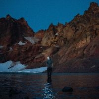 Mcnown Max - Night Diving (The Cost Of Growing U i gruppen VI TIPSAR / Fredagsreleaser / 2025-08-15 hos Bengans Skivbutik AB (5628960)