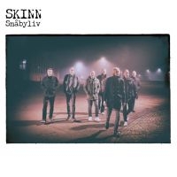 Skinn - Småbyliv i gruppen VINYL / Pop-Rock hos Bengans Skivbutik AB (5628988)