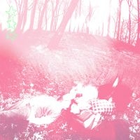 Shower Curtain - Words From A Wishing Well (Benadryl i gruppen VI TIPSAR / Fredagsreleaser / 2025-07-25 hos Bengans Skivbutik AB (5629449)