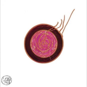 Sun Ra - Sleeping Beauty i gruppen VI TIPSAR / Fredagsreleaser / 2025-07-18 hos Bengans Skivbutik AB (5629681)