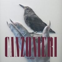 Canzonieri - All Creature i gruppen VINYL / Pop-Rock hos Bengans Skivbutik AB (5629692)