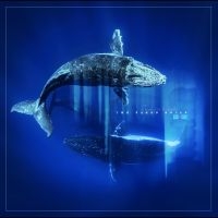 The Naked Souls - Reverb From The Depths i gruppen VINYL / Pop-Rock hos Bengans Skivbutik AB (5629911)