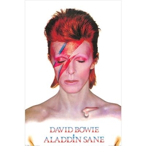 David Bowie  - Aladdin Sane  91,5 X 61 Cm i gruppen MERCHANDISE /  /  hos Bengans Skivbutik AB (5630238)