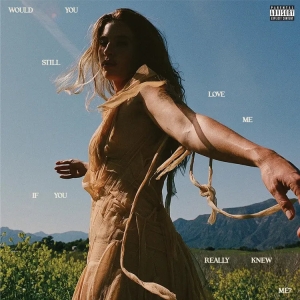 Fletcher - Would You Still Love Me If You Real i gruppen VI TIPSAR / Fredagsreleaser / 2025-07-18 hos Bengans Skivbutik AB (5630317)