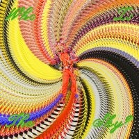 David Byrne - Who Is The Sky? (Apple Green Vinyl) i gruppen VI TIPSAR / Fredagsreleaser / 2025-09-05 hos Bengans Skivbutik AB (5630353)