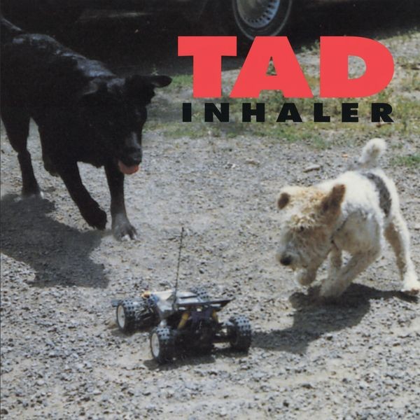 Tad - Inhaler i gruppen CD / Pop-Rock hos Bengans Skivbutik AB (5631176)