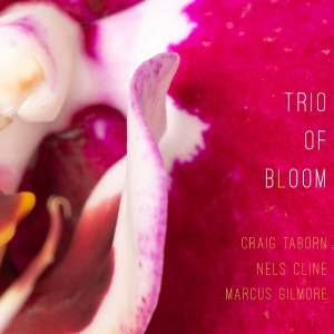 Trio Of Bloom - Trio Of Bloom i gruppen VI TIPSAR / Fredagsreleaser / 2025-10-03 hos Bengans Skivbutik AB (5631206)