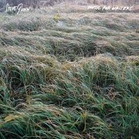 Gunn Steve - Music For Writers (Opaque Orange Vi i gruppen VI TIPSAR / Fredagsreleaser / 2025-08-15 hos Bengans Skivbutik AB (5631215)