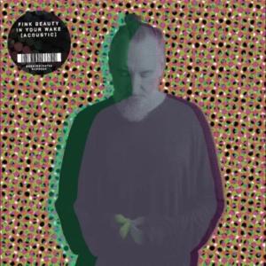 Fink - Beauty In Your Wake Acoustic i gruppen VI TIPSAR / Fredagsreleaser / 2025-07-18 hos Bengans Skivbutik AB (5631248)