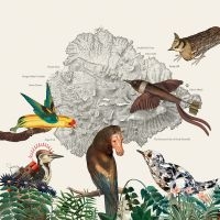 Friendly Rich - The Birds Of Marsville i gruppen VI TIPSAR / Fredagsreleaser / 2025-08-15 hos Bengans Skivbutik AB (5631330)