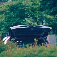 Ishibashi Eiko & Jim O'rourke - Pareidolia i gruppen VINYL / Pop-Rock hos Bengans Skivbutik AB (5632271)