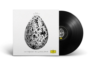 Snorri Hallgrímsson - The Importance Of Birds i gruppen VI TIPSAR / Fredagsreleaser / 2025-10-31 hos Bengans Skivbutik AB (5632298)