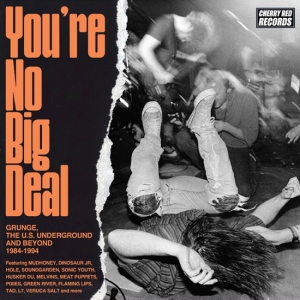 Various Artists - You're No Big Deal - Grunge, The U.S. Underground And Beyond 1984-1994 (4CD) i gruppen VI TIPSAR / Fredagsreleaser / 2025-09-26 hos Bengans Skivbutik AB (5632617)