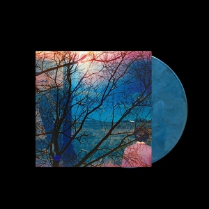 Idlewild - Idlewild i gruppen VI TIPSAR / Fredagsreleaser / 2025-10-03 hos Bengans Skivbutik AB (5632741)