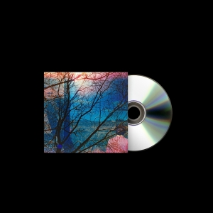 Idlewild - Idlewild i gruppen VI TIPSAR / Fredagsreleaser / 2025-10-03 hos Bengans Skivbutik AB (5632743)