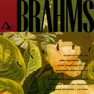Johannes Brahms - Songs Op. 92, 42, 104, 103 i gruppen CD / Klassiskt hos Bengans Skivbutik AB (5633086)