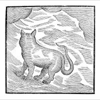 Valentina Magaletti & Ypy - Kansai Bruises i gruppen VI TIPSAR / Fredagsreleaser / 2025-08-22 hos Bengans Skivbutik AB (5633344)