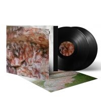 Fauna - Ochre & Ash (2 Lp Black Vinyl) i gruppen VINYL / Hårdrock hos Bengans Skivbutik AB (5633474)