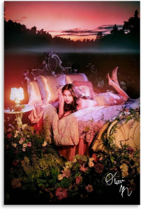 Olivia Rodrigo - Olivia Rodrigo 91,5 X 61 Cm i gruppen ÖVRIGT / BW-Poster hos Bengans Skivbutik AB (5634355)