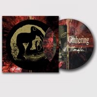 Gathering The - Mandylion (Picture Vinyl Lp) i gruppen VI TIPSAR / Fredagsreleaser / 2025-09-26 hos Bengans Skivbutik AB (5635321)