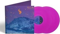 Pelican - Flickering Resonance (2 Lp Neon Pur i gruppen VI TIPSAR / Fredagsreleaser / 2025-09-05 hos Bengans Skivbutik AB (5635513)