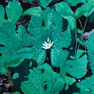 Early Fern - Wetland Interiors i gruppen VI TIPSAR / Fredagsreleaser / 2025-11-28 hos Bengans Skivbutik AB (5635603)