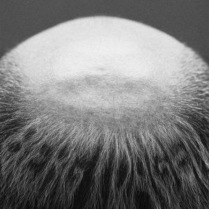 Vasas Flora Och Fauna - Berg I Dagen i gruppen VI TIPSAR / Fredagsreleaser / 2025-10-17 hos Bengans Skivbutik AB (5635805)