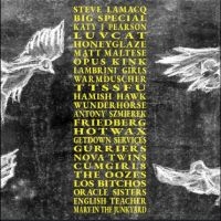 Various Artists - A Hideous Collective i gruppen VI TIPSAR / Fredagsreleaser / 2025-09-05 hos Bengans Skivbutik AB (5635981)
