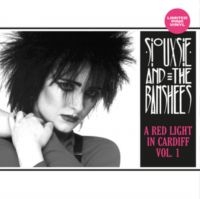 Siouxsie And The Banshees - A Red Light In Cardiff Vol. 1 i gruppen VINYL / Pop-Rock hos Bengans Skivbutik AB (5636747)