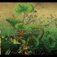 Dave Ball & Jon Savage - Photosynthesis i gruppen VI TIPSAR / Fredagsreleaser / 2025-09-05 hos Bengans Skivbutik AB (5636928)