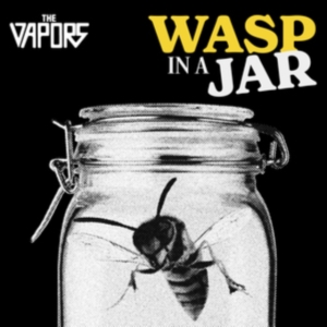 Vapors - Wasp In A Jar i gruppen CD / Punk hos Bengans Skivbutik AB (5637093)