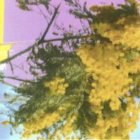 Four Tet - Into Dust (Still Falling) i gruppen VI TIPSAR / Fredagsreleaser / 2025-09-05 hos Bengans Skivbutik AB (5637192)