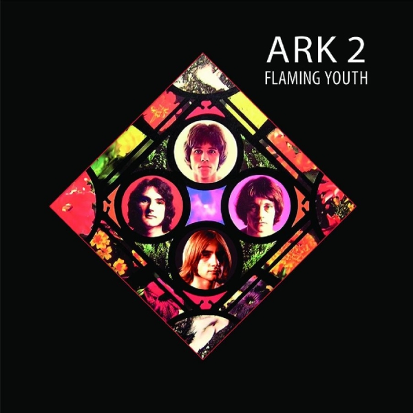 Flaming Youth - Ark 2 i gruppen VINYL / Toppsäljare hos Bengans Skivbutik AB (5637227)
